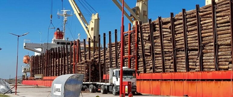 Entre Ríos: se concretó la primera exportación de rollos de madera del año con destino a India