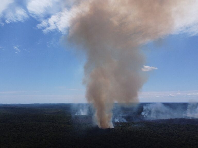 Universidades se preparan para evitar nuevas catástrofes ambientales por incendios rurales