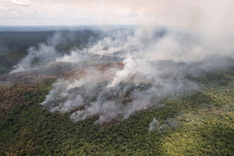 Misiones | La facultad de Forestales de la UNaM lanzó la Diplomatura en Manejo y Prevención de Incendios Estructurales y Forestales