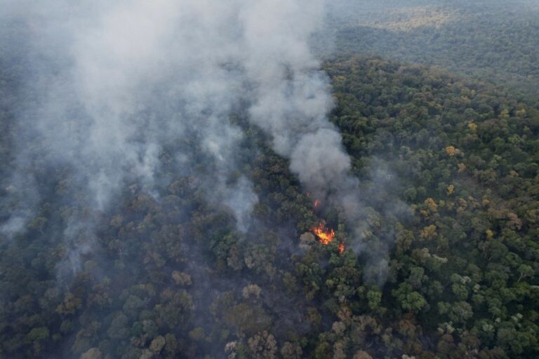 Misiones en llamas | Impactantes imágenes de los incendios en la Reserva Guaraní, intentan contenerlo pero el fuego ya arrasó con más de 300 hectáreas de selva