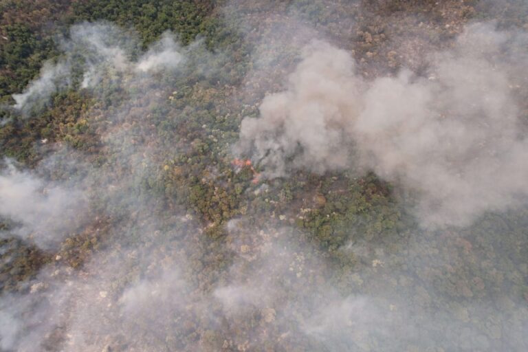 Argentina sigue en alerta por incendios forestales: las provincias de Misiones, Formosa y Río Negro mantienen focos activos y de difícil control 