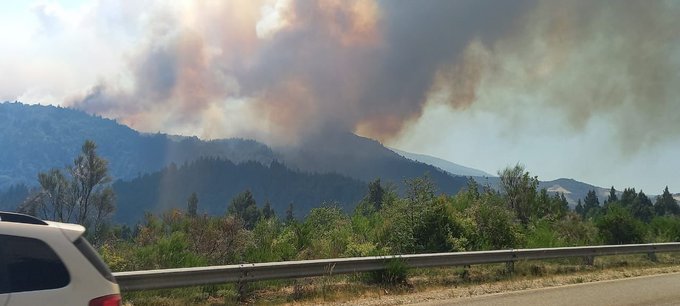 Emergencia ígnea en Argentina: Brigadistas trabajan para detener el avance del incendio forestal que se reavivó en la zona del Lago Steffen, en Río Negro