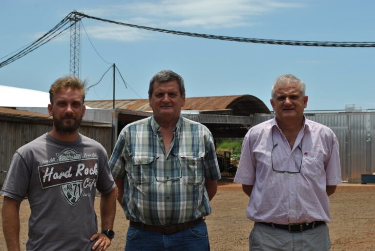 Toll Maderas, una PyME misionera que apuesta a la tecnificación y ejecuta un millonario plan de inversiones para seguir creciendo