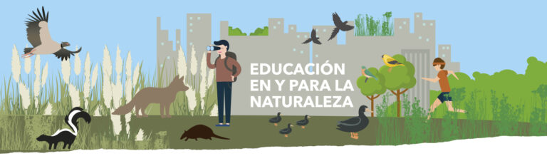 Educación ambiental: para celebrar el día mundial la Fundación Vida Silvestre comparte materiales gratuitos para docentes