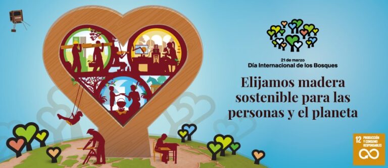 FAO celebra el Día Mundial Forestal informando sobre el rol de los bosques en la producción y consumo sostenible