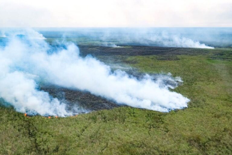 Corrientes en llamas | Ambiente destinó 300 millones de pesos más a la provincia para el combate de incendios