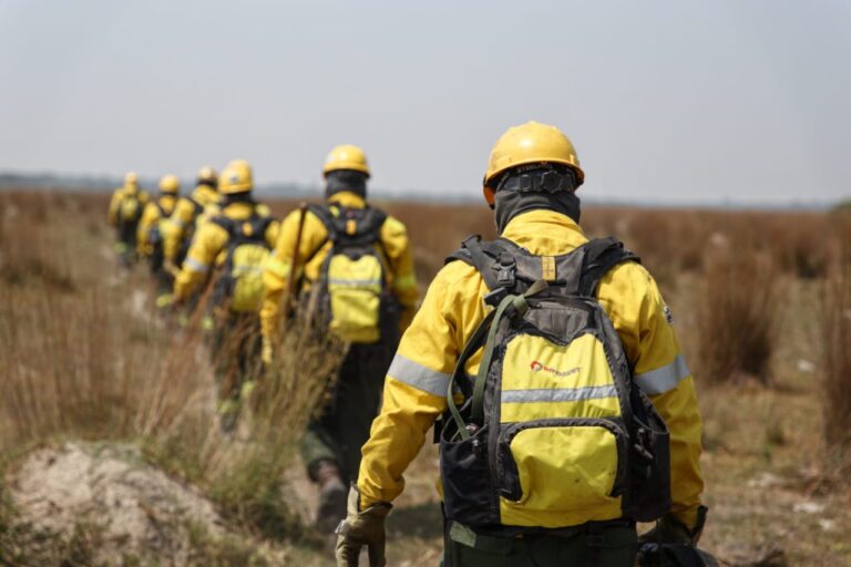 El gobierno nacional aumentó el presupuesto para el Manejo del Fuego a $6700 millones para el ejercicio 2022