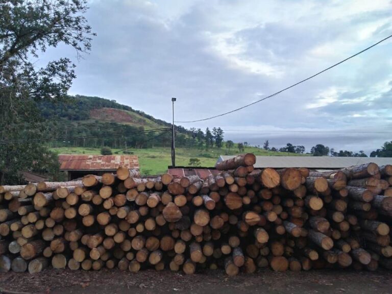 Miguel Ángel López: “La tasa de servicio forestal es un impuesto encubierto”
