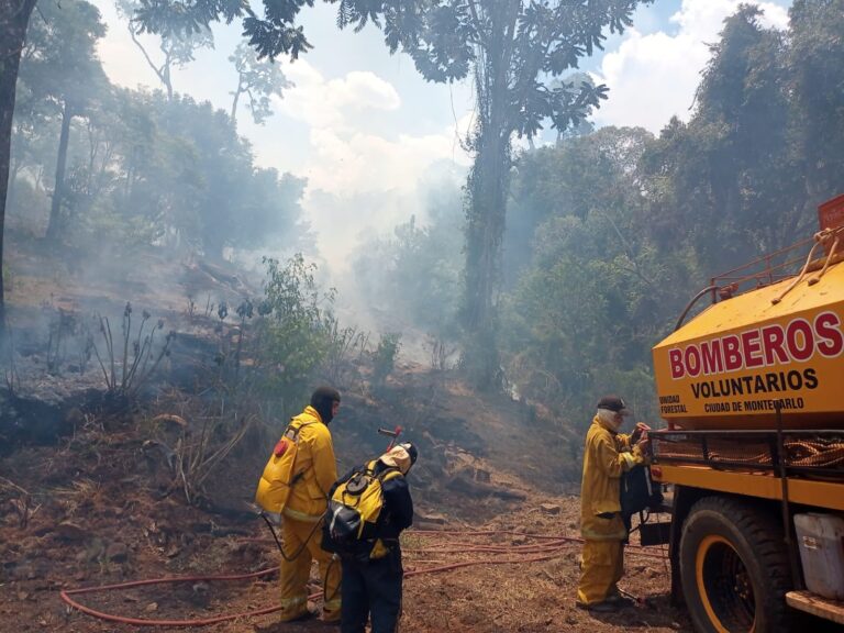 Corrientes en llamas | El Consejo Nacional de Bomberos Voluntarios ofreció 100 brigadistas para ayudar a la provincia de Corrientes