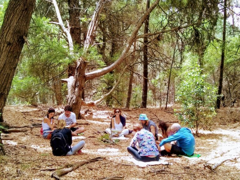 Baños de bosque | Los beneficios de la conexión con la naturaleza y su ecosistema para la salud de las personas, la sociedad y el ambiente