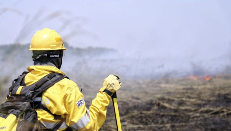 Oportunidad laboral | FAO Argentina busca cubrir vacante de Coordinador/a de Prevención de Incendios Forestales