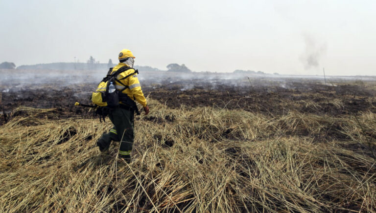 Defensa construyó una plataforma virtual para gestionar emergencias como los incendios de Corrientes y Sur de Misiones