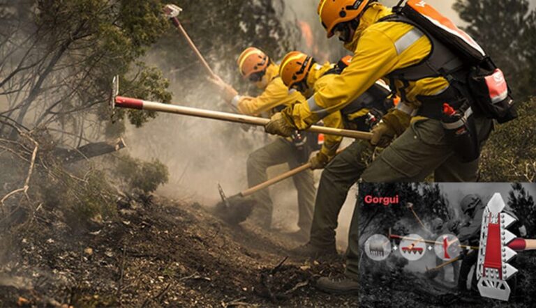 La columna del Prof. Norberto Ovando: «Los incendios forestales se vuelven extremo»