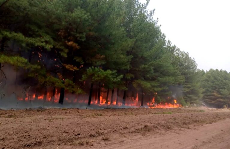 Consorcio de Manejo de Fuego | «La situación es caótica para todos, y tenemos un 100% de los recursos disponibles del Consorcio de Manejo del Fuego afectados al combate de incendios”, dijo Sebastián Benitez 