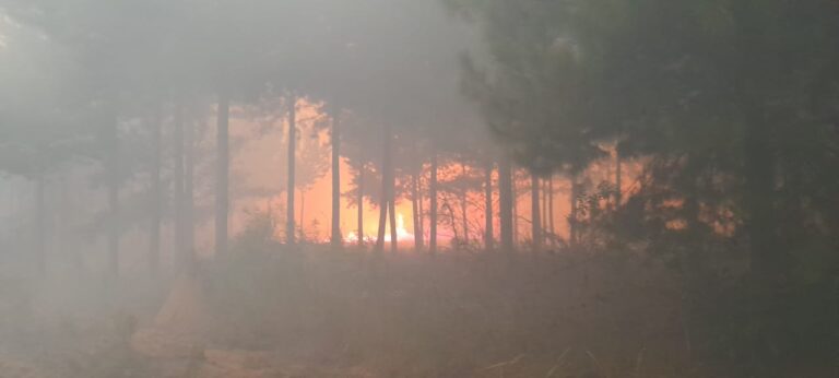 AFoA y CRA rechazaron las declaraciones de Cabandié: «No escuchó cuando se le advirtió de los índices y que los incendios serían de comportamiento extremo y catastrófico»