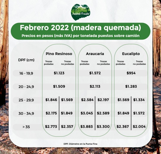 InFoPro: regirá un precio mínimo para la venta de rollos de madera «quemada» en Misiones