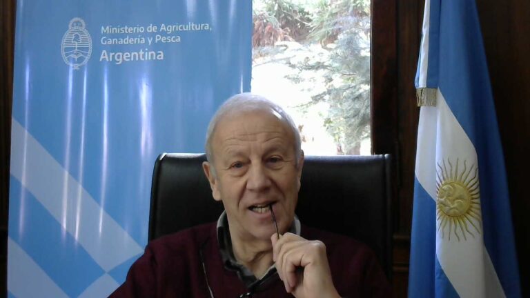 Renunció Daniel Maradei | La foresto-industria argentina sin liderazgo e interlocutores válidos ante el gobierno nacional