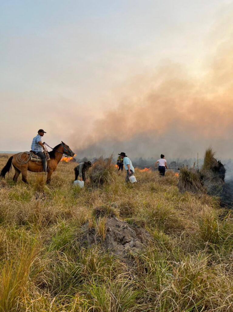 Incendios en el Litoral: fuego, cenizas y pérdidas millonarias