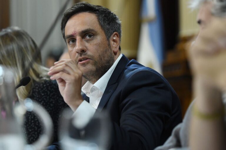 Video: Cabandié expuso durante más de 5 horas en el Senado de la Nación y pidieron su renuncia legisladores de la oposición