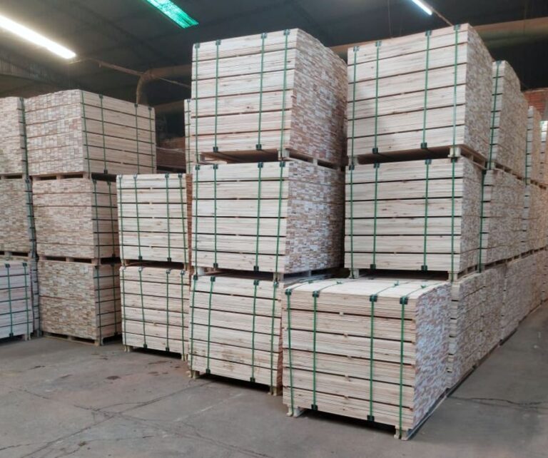 Paraguay: Las exportaciones de madera registraron un repunte del 45% en 2021, y el sector logra la mayor cifra en ventas de los últimos 8 años