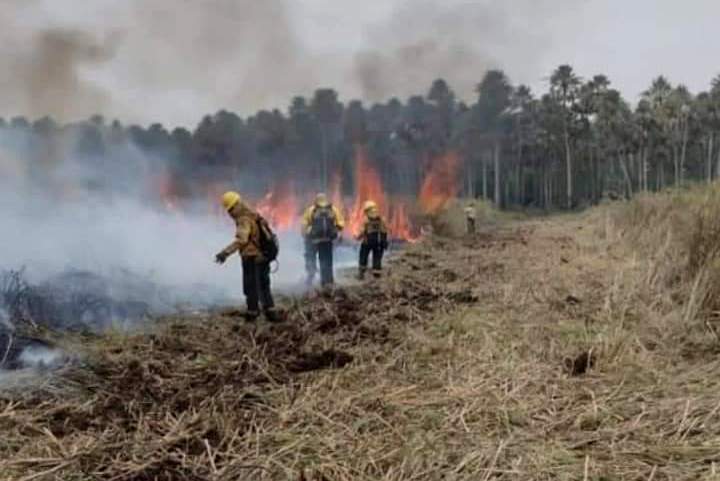Formosa: denunciaron incendios intencionales en el Parque Nacional Río Pilcomayo