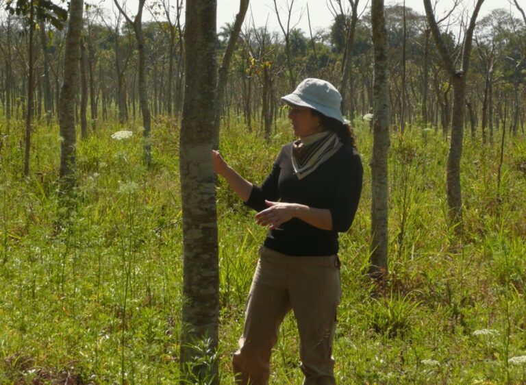 #MujeresForestales, la columna de AFoA: Griselda Guarino, una vida dedicada a profesionalizar la gestión forestal sostenible