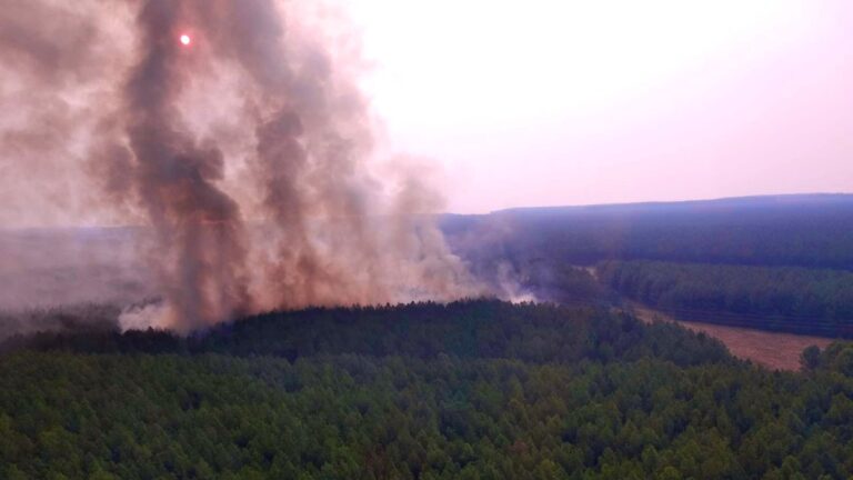 Incendios forestales: FAIMA reclama políticas públicas, financiamiento y nuevos recursos