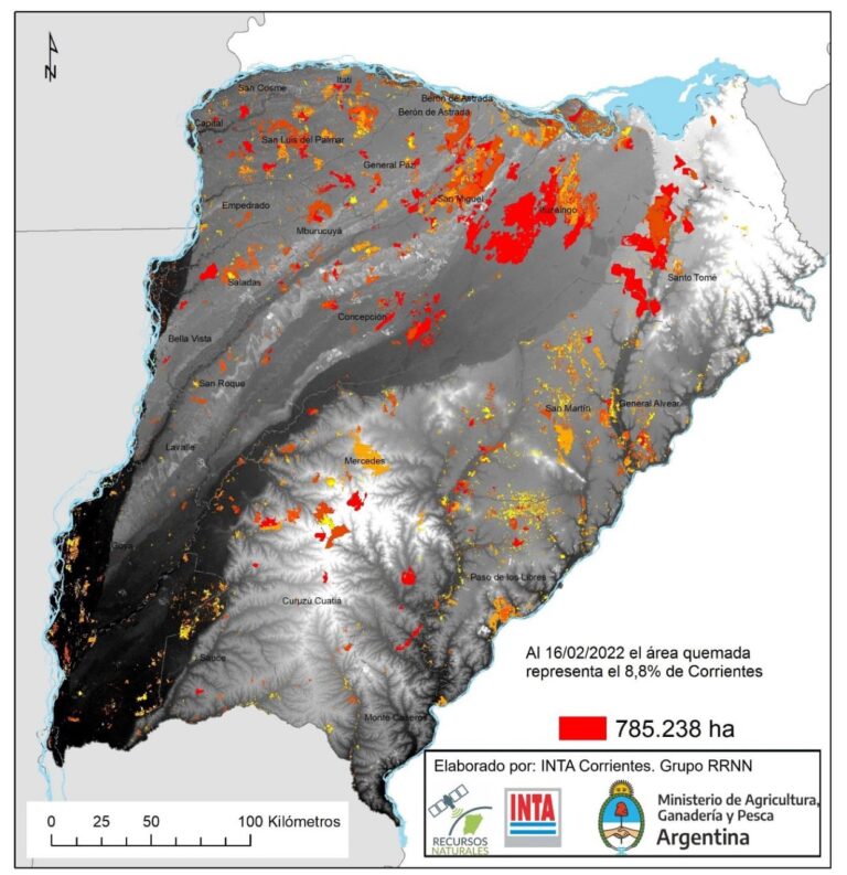 Informe del INTA: la evolución de las áreas quemadas alcanza las 786 mil hectáreas en Corrientes