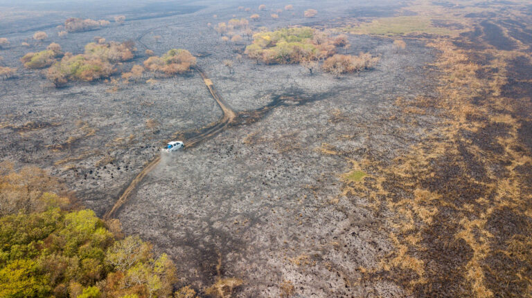 Corrientes en llamas | Estiman casi un millón de hectáreas afectadas por el fuego y la catástrofe ambiental se profundiza arrasando un 40% del Parque Iberá