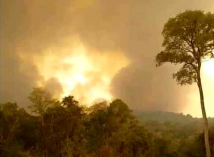 Incendios en Misiones : avanza por la Ruta 220 sobre el Parque Salto Encantado un gran frente de fuego,  hay evacuaciones preventivas y no lograron contener su avance al área protegida