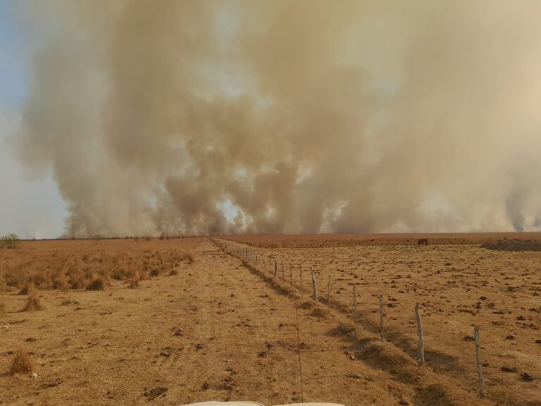 Corrientes en llamas: fuertes vientos complicaron la situaciòn en Santo Tomé, hay varias estancias quemadas, evacuados y cortes de ruta