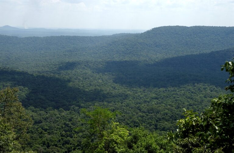 Misiones | «Las Áreas Naturales Protegidas y el Corredor Verde requieren de una gestión eficiente ante los nuevos retos globales del Cambio Climático», sostienen guardaparques