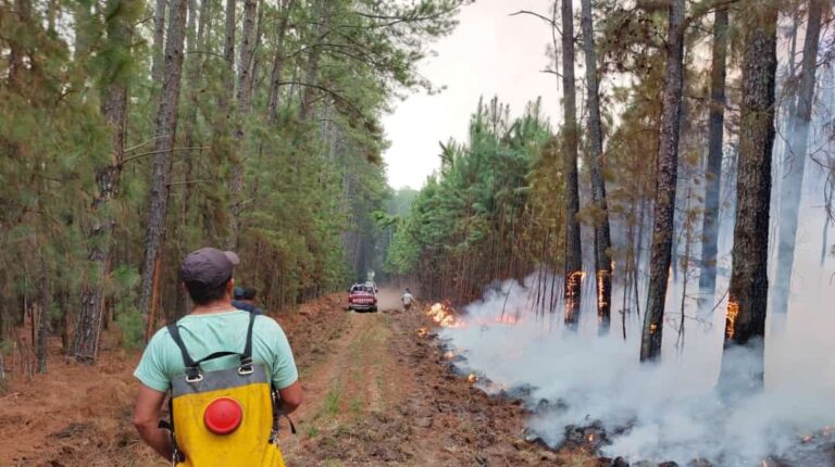 Corrientes en llamas | Dramática jornada de combate de incendios que avanzan fuera de control en siete municipios