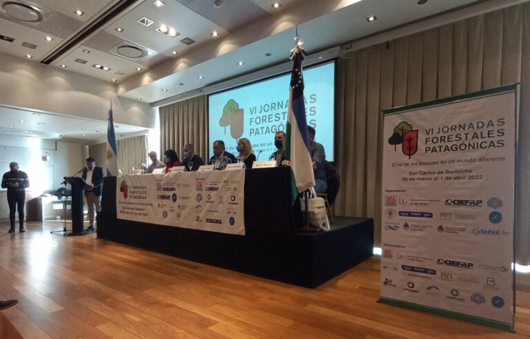 VI Jornadas Forestales Patagónicas | Concluyeron con cerca de 300 inscriptos, alta concurrencia y debates de ciencia, investigación y políticas de desarrollo sostenibles para la región