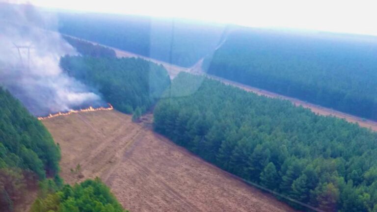 La Federación Argentina de la Ingeniería Forestal pide políticas forestales de Estado «unificadas y jerarquizadas» para el Manejo del Fuego en el país