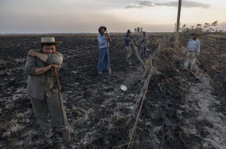 Corrientes: prorrogaron hasta diciembre el «Estado de Emergencia» por el desastre agropecuario sufridos por sequías e incendios