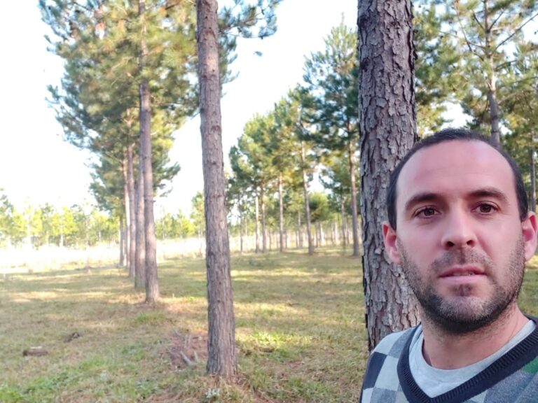 El debate por el uso del glifosato en Misiones: prohibir o regular