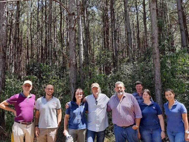 Pablo Peri en Misiones y Corrientes | La producción foresto-industrial «es eje central» de una agenda de trabajo reconocida a nivel nacional