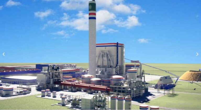 Paraguay | Paracel tendría demorado los permisos del Ministerio de Ambiente y busca socios brasileños para avanzar en el proyecto de la mega fábrica de celulosa