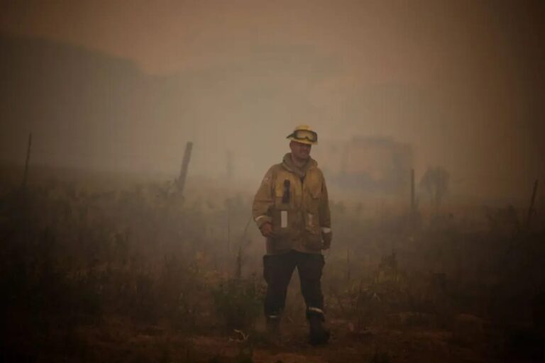 Los incendios forestales causan eco-ansiedad en muchas personas