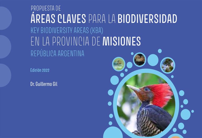 Bosque Atlántico | Aves Argentinas propone un nuevo mapa para valorar la biodiversidad de las KBA identificadas en la Selva Misionera
