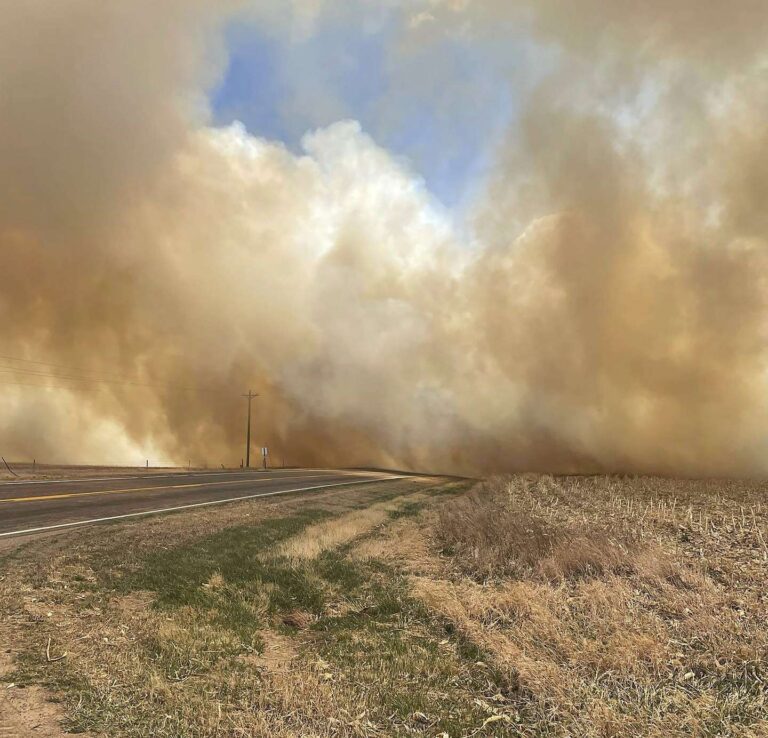 Estados Unidos | Un muerto, 15 bomberos heridos y evacuaciones masivas por los incendios forestales que jaquean desde Arizona hasta Florida
