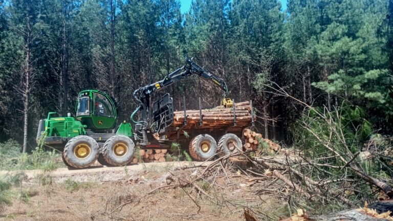 La evolución de la seguridad laboral con los nuevos sistemas de cosecha forestal