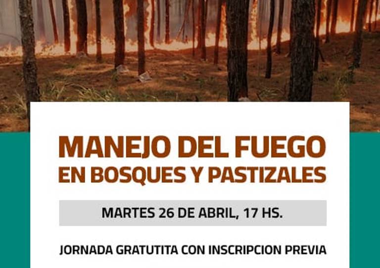Agenda virtual : CPIA organiza un seminario de Manejo del Fuego en bosques y pastizales