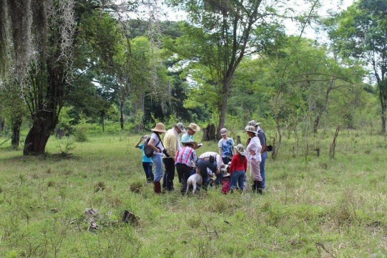 Herederos Silvopastoriles | La experiencia de sistemas de producción sostenibles en Colombia, una oportunidad para el relevo generacional
