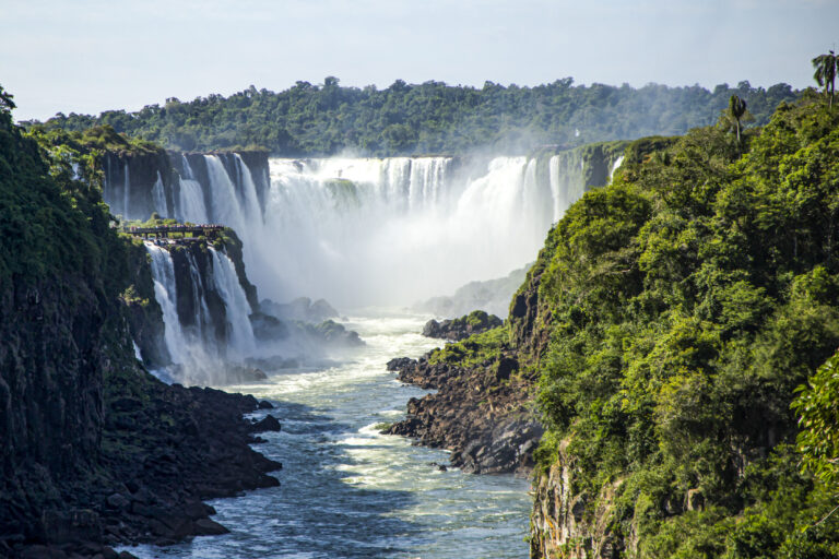 Día Trinacional del Bosque Atlántico: una de las selvas con mayor biodiversidad del mundo en América del Sur