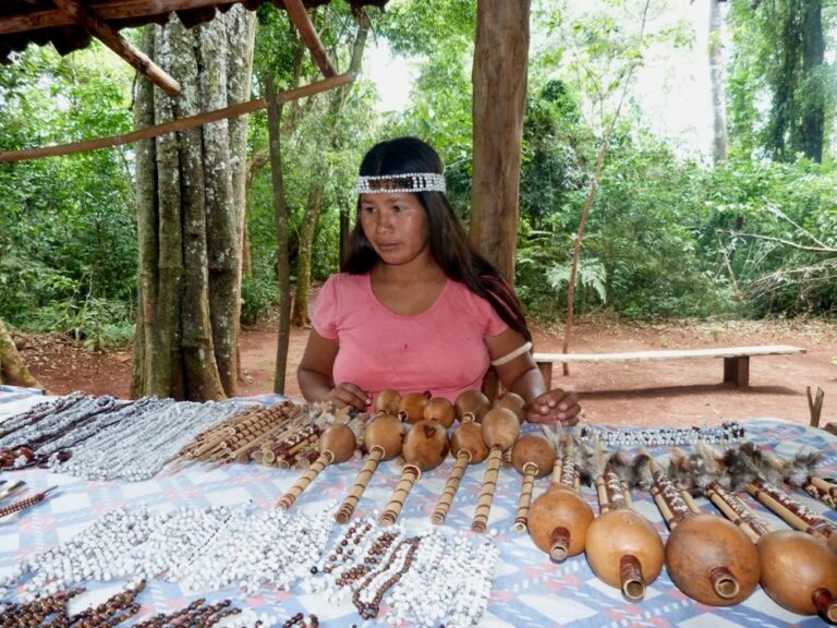 Programa Erasmu+ de la UE en Argentina | Por primera vez, realizan un intercambio de experiencias de jóvenes Mbya Guaraní para promover competencias en turismo sostenible