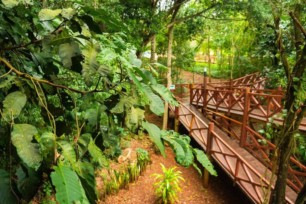 Preferred by Nature distinguió a operadores y empresas hoteleras de Misiones por sus 10 años de participación en el programa de certificación internacional