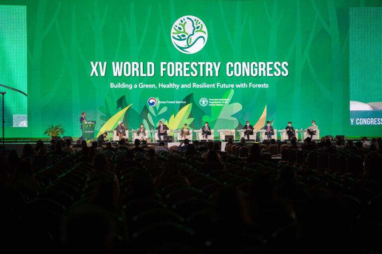 XV Congreso Forestal Mundial de FAO | «La producción y el consumo sostenibles de madera son el futuro»