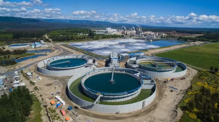 Industria de celulosa y papel avanza en sostenibilidad: en sus procesos logran reducir el consumo de agua y energía